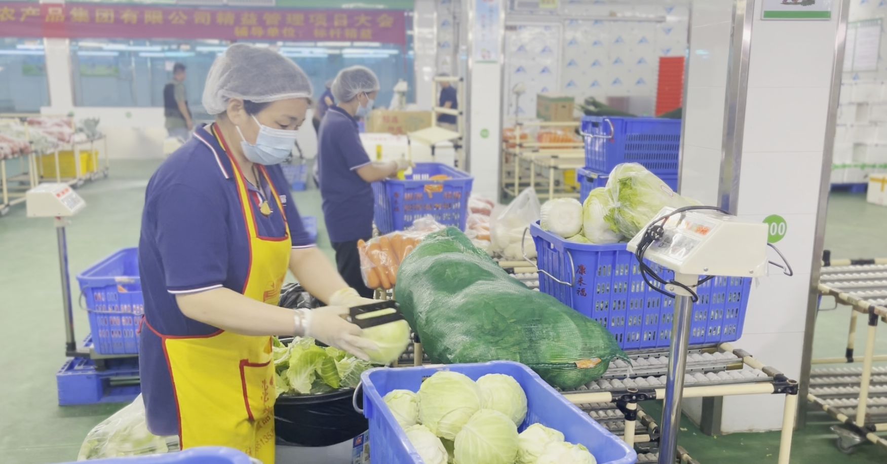 食材分揀流程